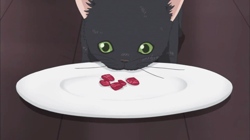 Say I Love You Cat GIF , Find \u0026 Share on GIPHY