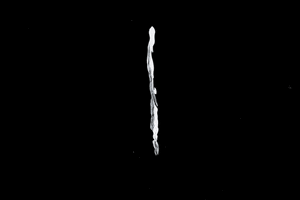 X Amount Records GIF
