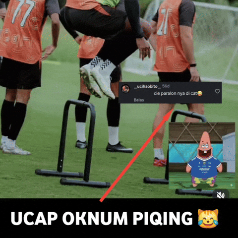 Persib Bandung Viking GIF