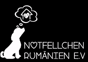 Notfellchen Rumänien e.V. GIF