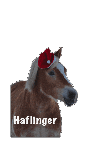 OHD Sticker