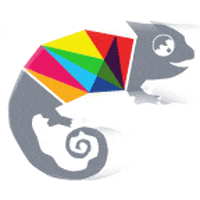 Chameleon Creative Studio GIF