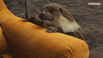 Otter Goodbye GIF by Samsung Mobile