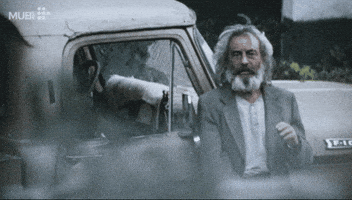 Amores Perros Film GIF by MUBI