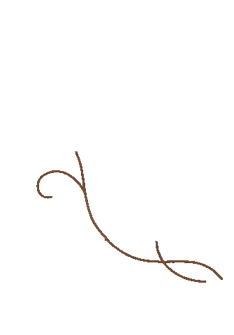 Flowers Growing Sticker