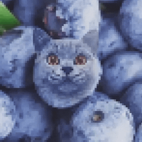 Kinda Homeless GIF