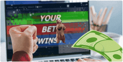 Wintips GIF