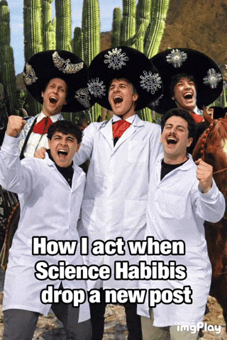 Meme GIF
