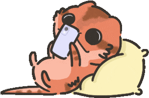 Playing Bearded Dragon Sticker