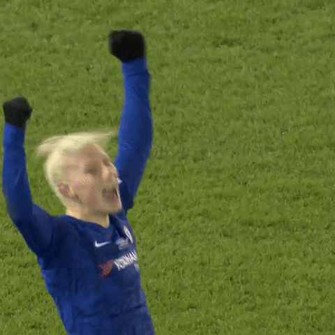 Come On Yes GIF by Barclays FAWSL
