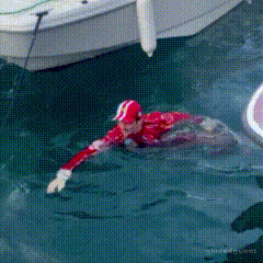 Charles Leclerc GIF