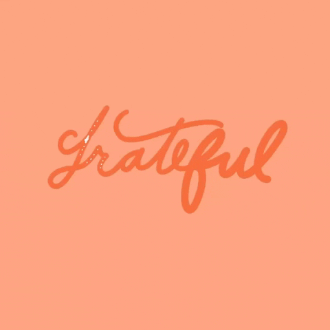 Text gif. Loopy orange script sparkles against a pink background. Text, "Grateful."