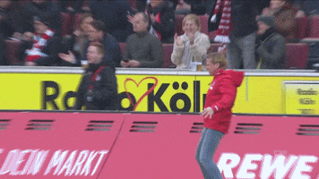 Lets Go Celebration GIF by 1. FC Köln