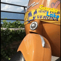 Summer Sea GIF by Vespa Club Verona