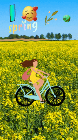 sport-tours-travels fitness nature flower sun GIF