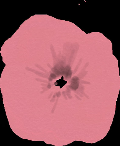 Ohdelicia GIF