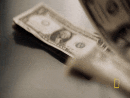 Stock Market Money GIF by National Geographic Channel