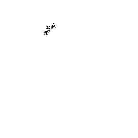 Finelli GIF