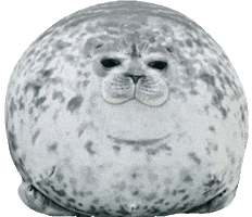 Seal GIF