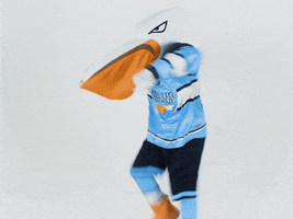 PelicansFi dance hockey mascot ice hockey GIF