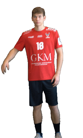 HC Rhein Vikings Sticker