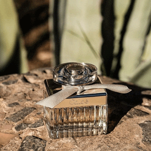 CotyLuxe GIF