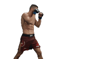 Fight Wow Sticker by Ismail Naurdiev