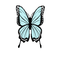 Baby Blue Spring Sticker by Fifth & Ninth