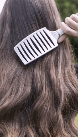 Hairbrush Thebellebrush GIF by Belle Hair