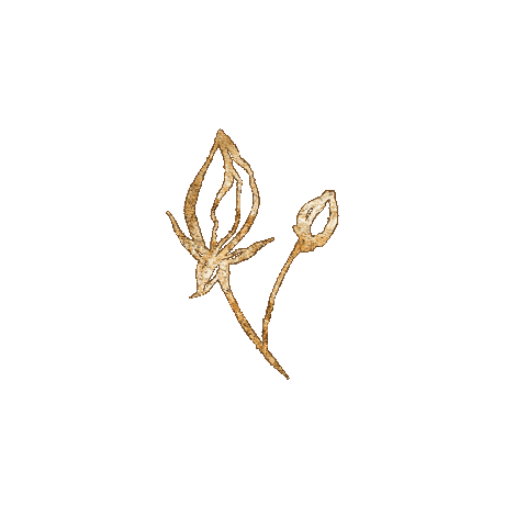 Art Design Sticker by Cathleen Cafasso