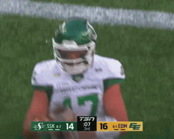 Touchdown Celebrate GIF