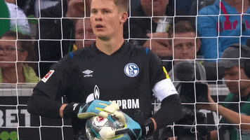 Alexander Nübel Ñubel GIF by FC Schalke 04
