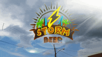 stormbeer drink beer bier cerveja GIF