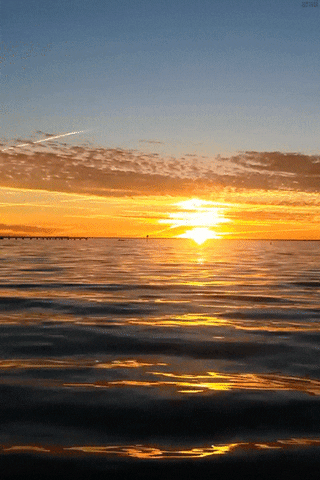 Sunset Cosmeticos GIFs - Get the best GIF on GIPHY