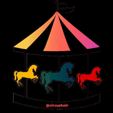Circusnololla GIF by Circus Hair
