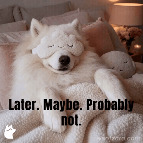 Procrastination Samoyed GIF by Woofzara
