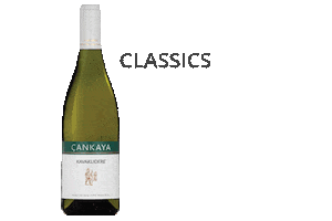 kavakliderewines Sticker