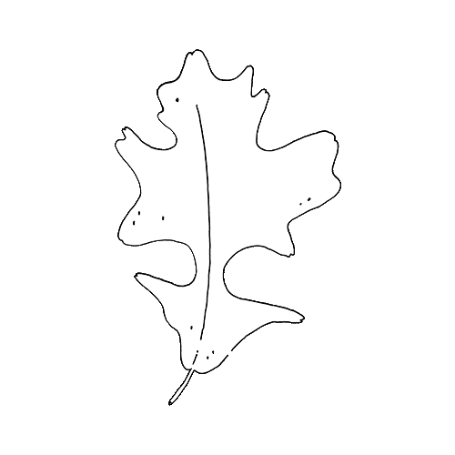 Leaf Sticker