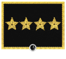 8Dan Sticker by Barreto Taekwondo