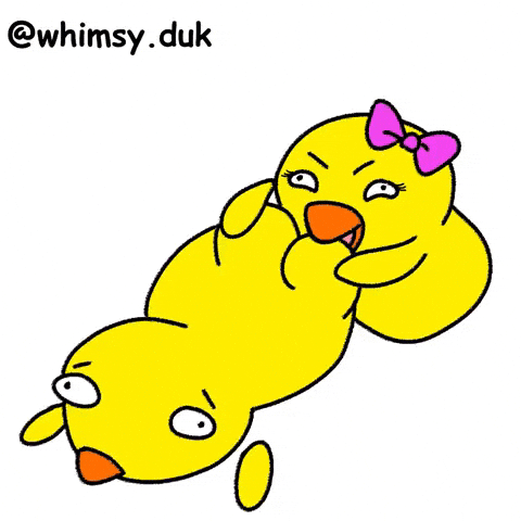 Couple Duck GIF