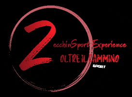 zecchinsport GIF