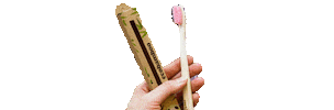 Ecobamboo Sticker
