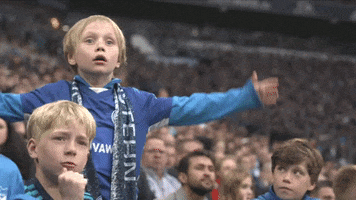 Come On Wtf GIF by FC Schalke 04