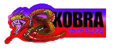 Colors Snake Sticker by Kobrapaint