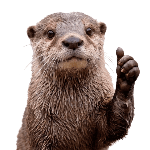 Nutria Sticker by ecoembes