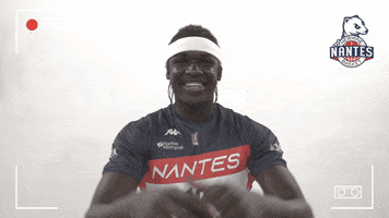 Nantes Basket Hermine GIF