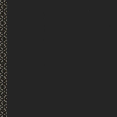 C21 Canada GIF