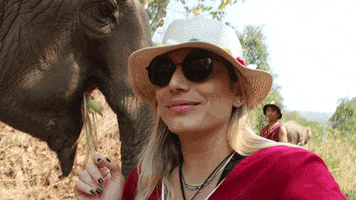 muyviajera GIF