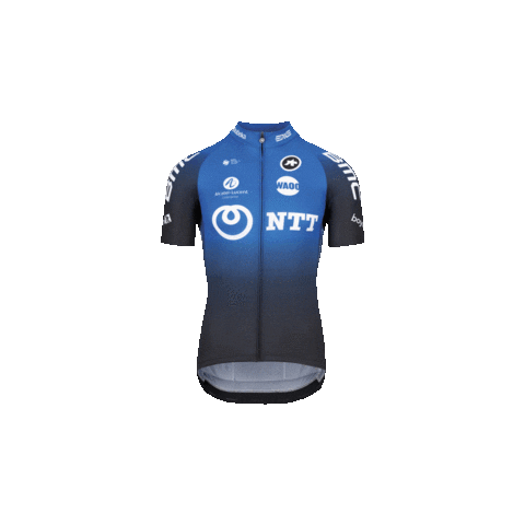 NTT Pro Cycling Sticker