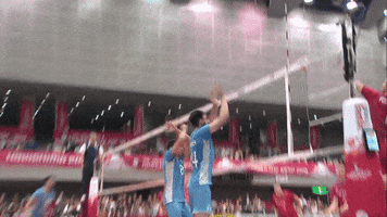 Argentina Point GIF by Volleyball World